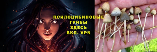 молекула духа Володарск