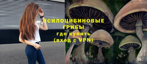 МДПВ Верея