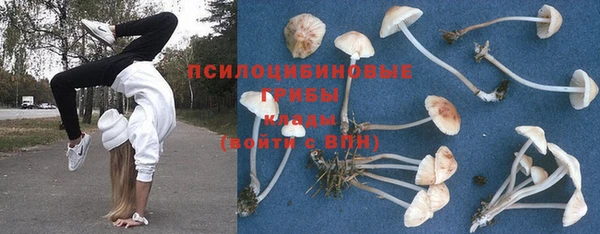 мяу мяу мука Волоколамск